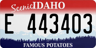 ID license plate E443403