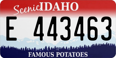 ID license plate E443463