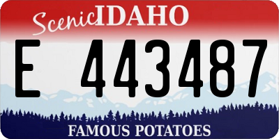 ID license plate E443487
