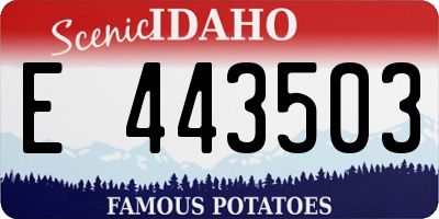 ID license plate E443503