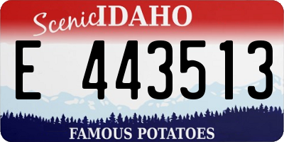 ID license plate E443513