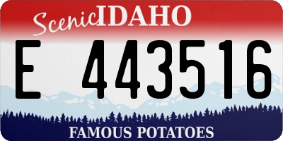 ID license plate E443516