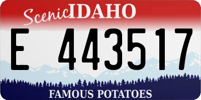 ID license plate E443517