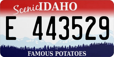 ID license plate E443529