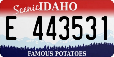 ID license plate E443531
