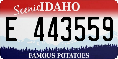 ID license plate E443559