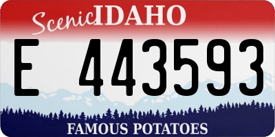 ID license plate E443593