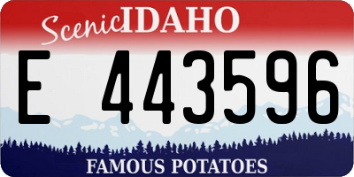 ID license plate E443596