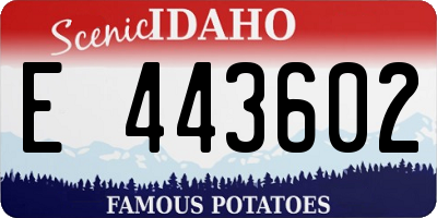 ID license plate E443602
