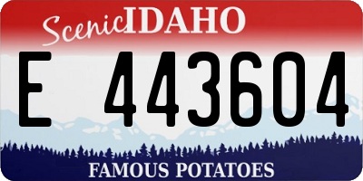 ID license plate E443604