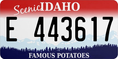 ID license plate E443617