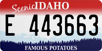 ID license plate E443663