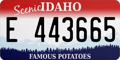 ID license plate E443665
