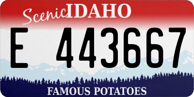 ID license plate E443667