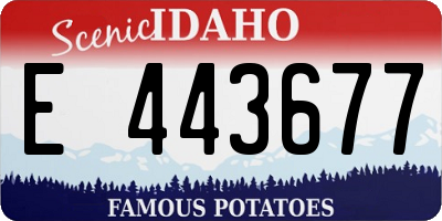 ID license plate E443677