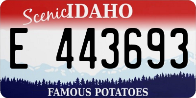 ID license plate E443693