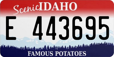 ID license plate E443695
