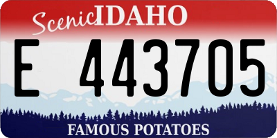 ID license plate E443705