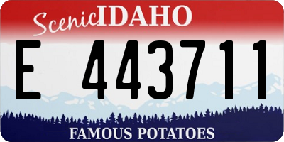 ID license plate E443711