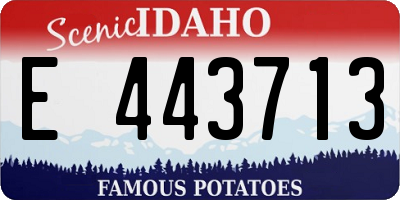 ID license plate E443713