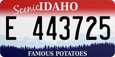 ID license plate E443725