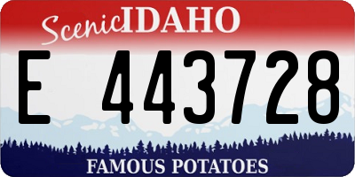 ID license plate E443728