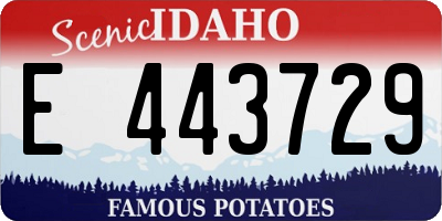 ID license plate E443729