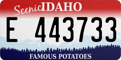 ID license plate E443733