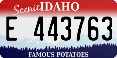 ID license plate E443763