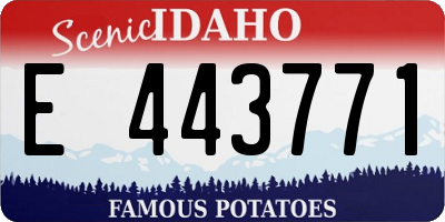 ID license plate E443771