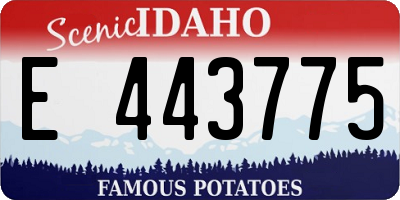 ID license plate E443775