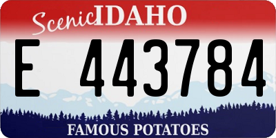 ID license plate E443784