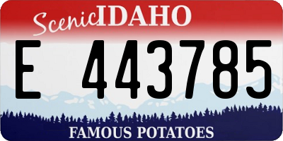 ID license plate E443785