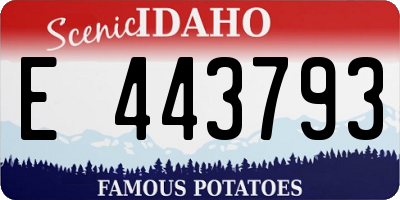 ID license plate E443793