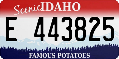 ID license plate E443825