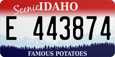 ID license plate E443874