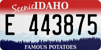 ID license plate E443875
