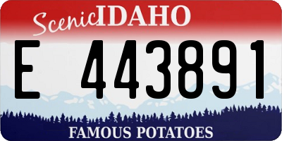 ID license plate E443891