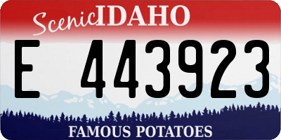 ID license plate E443923