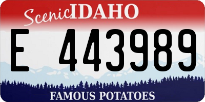 ID license plate E443989