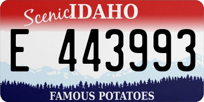ID license plate E443993