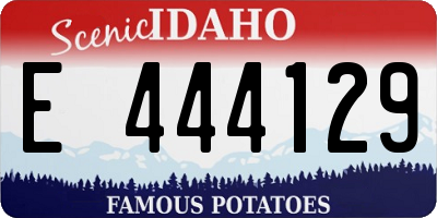 ID license plate E444129