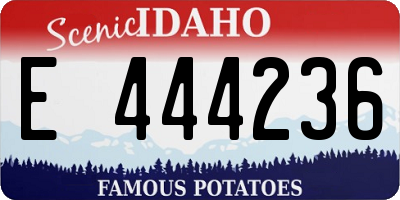 ID license plate E444236