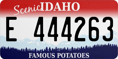 ID license plate E444263