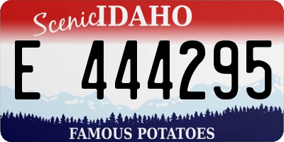 ID license plate E444295