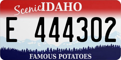 ID license plate E444302