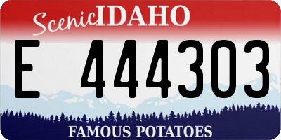 ID license plate E444303