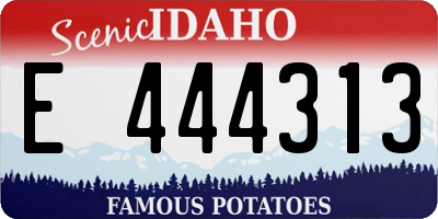 ID license plate E444313