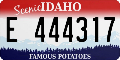 ID license plate E444317