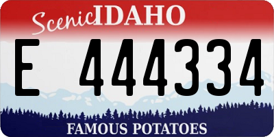 ID license plate E444334